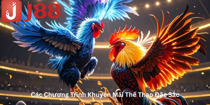 Các trương chình khuyến mãi thể thao đặc sắc 
